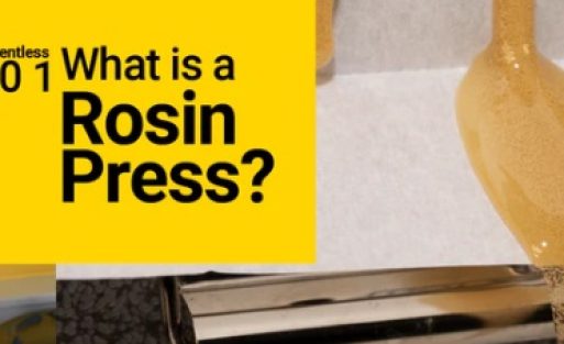 Understanding Rosin Pressing